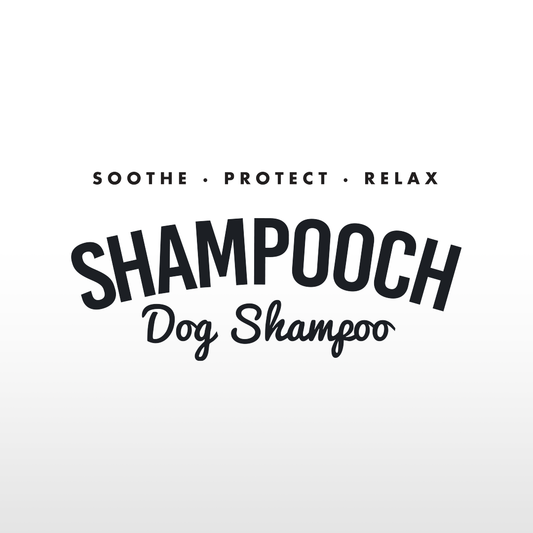 Keeping Dogs Feeling Fabulous with Shampooch!
