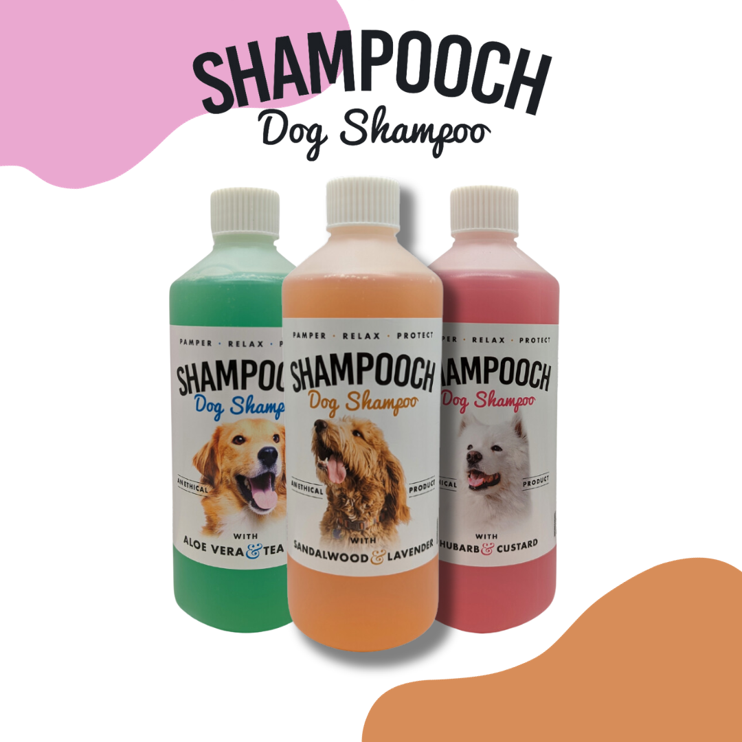 Shampooch deals