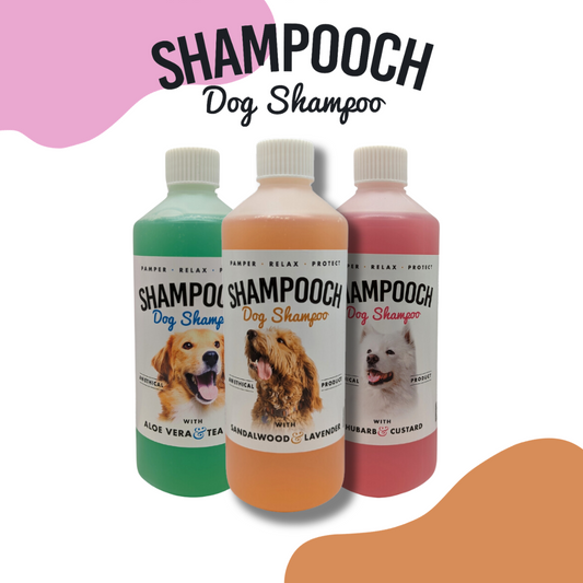 Shampooch Starter Bundle