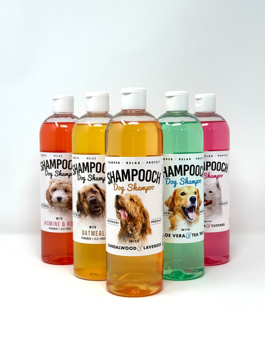 Shampooch Starter Bundle