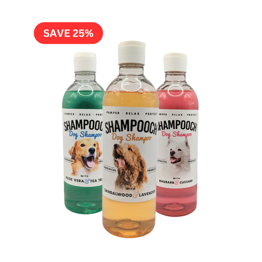 Dog Shampoo Starter Bundle