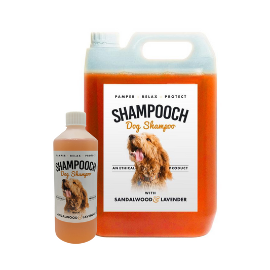Sandalwood & Lavender Shampooch Bundle