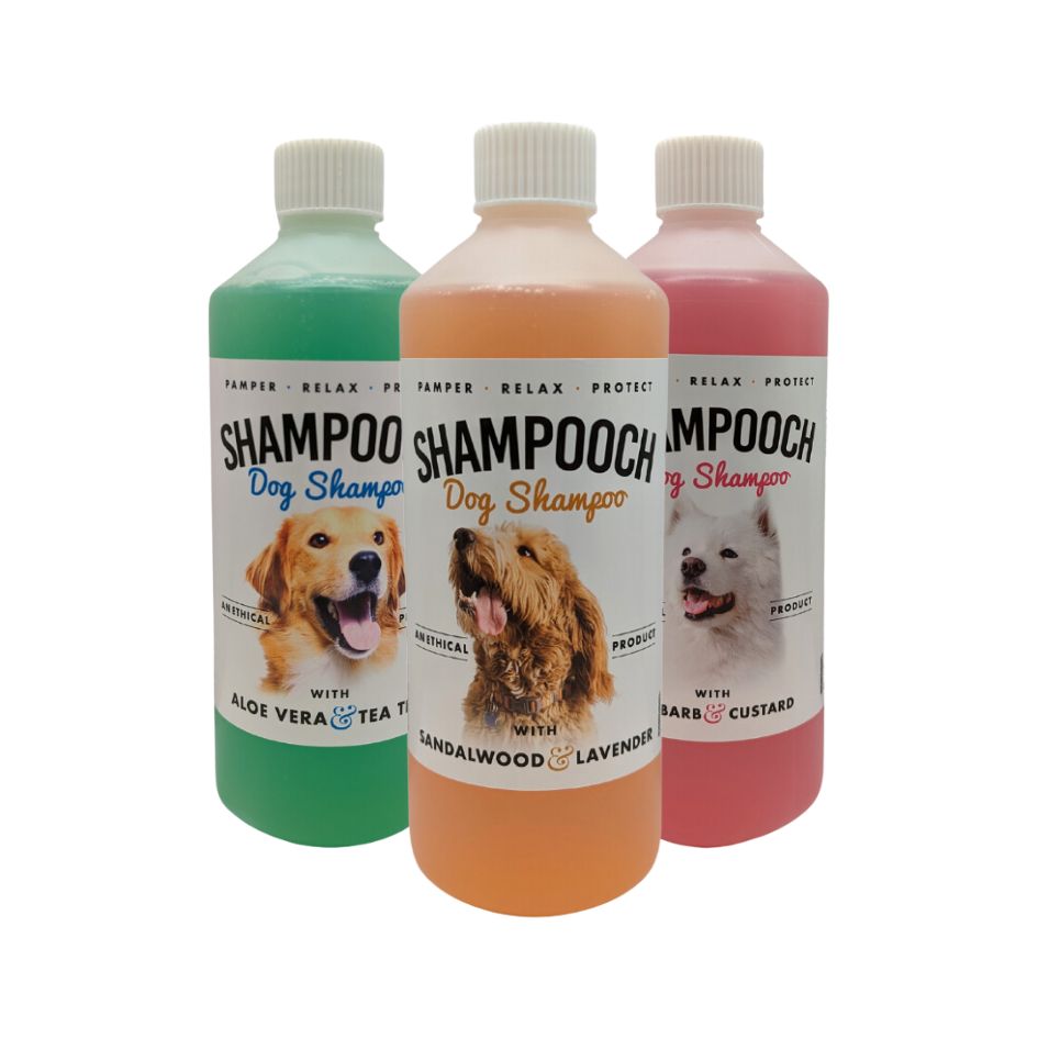 Dog Shampoo Starter Bundle