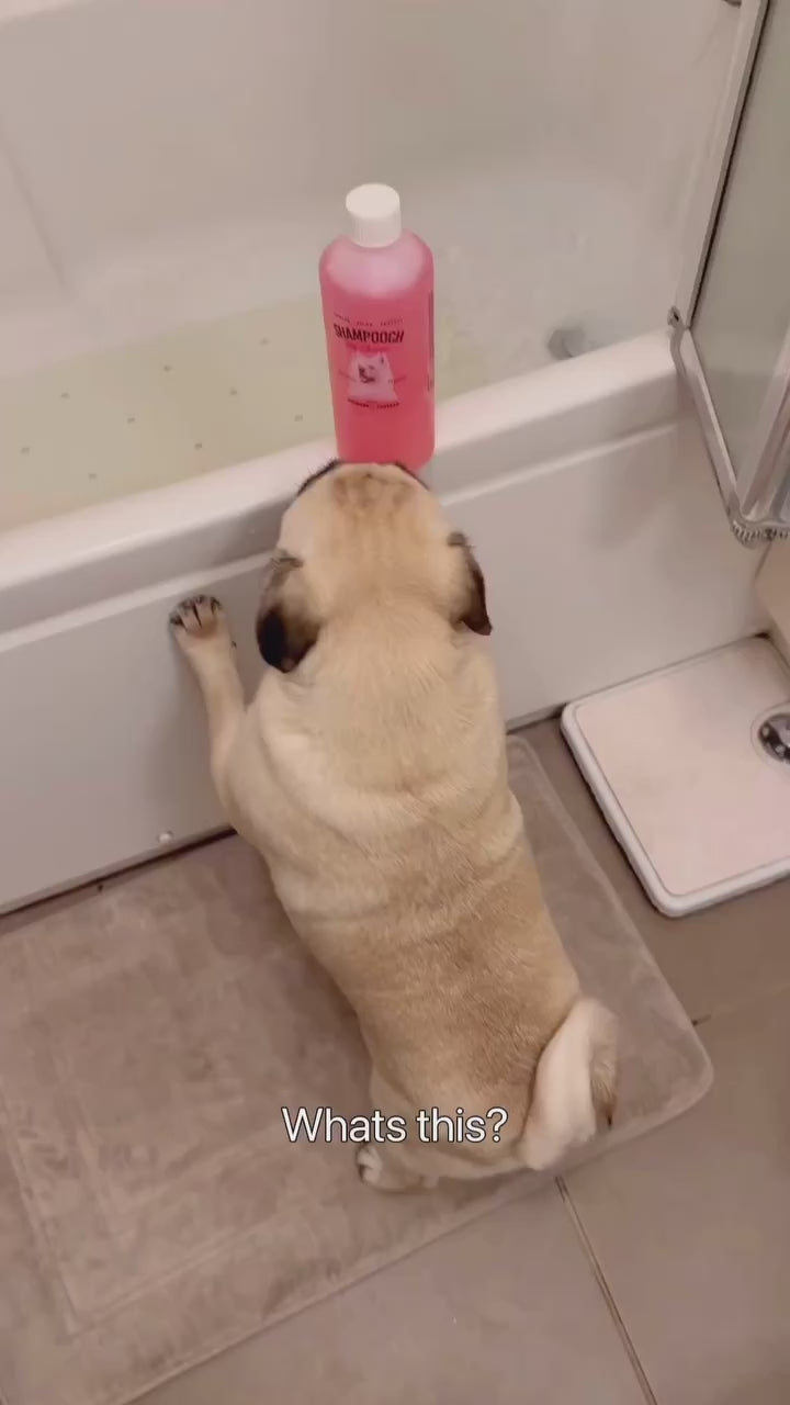 Rhubarb & Custard Dog Shampoo - 500ml