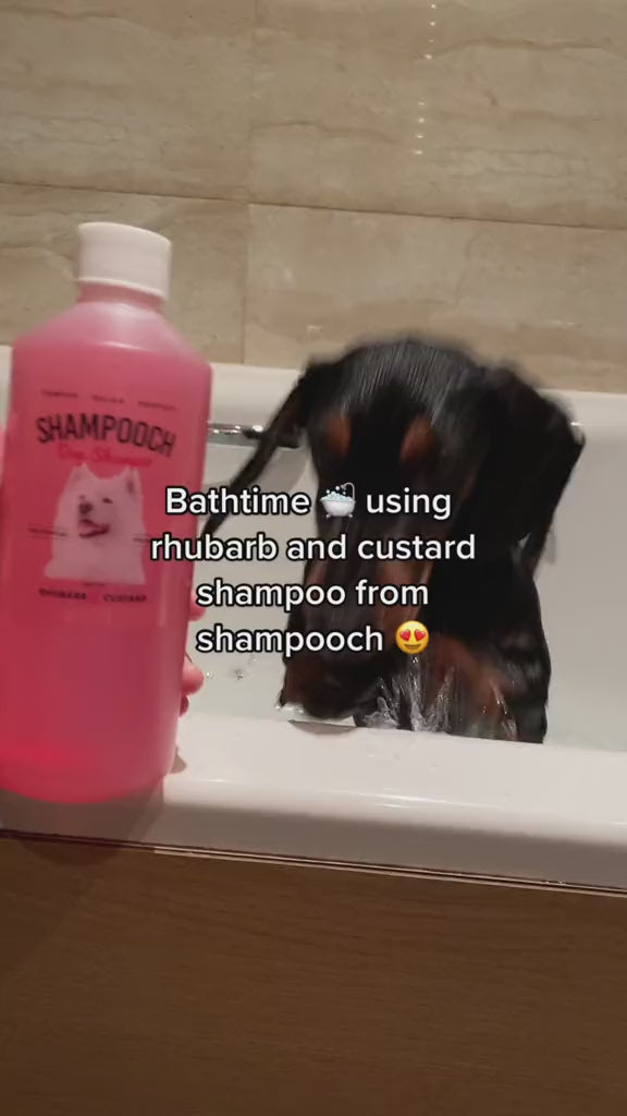 Rhubarb & Custard Dog Shampoo - 500ml