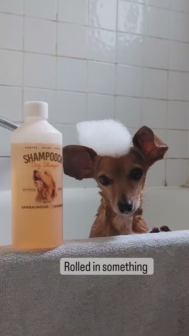 Sandalwood & Lavender Dog Shampoo - 500ml