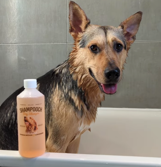 Shampooch - Sandalwood & Lavender - 500ml - Ethical Supplies