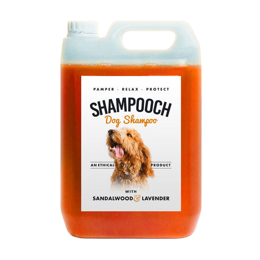 Shampooch - Sandalwood & Lavender - 5 Litre - Ethical Supplies